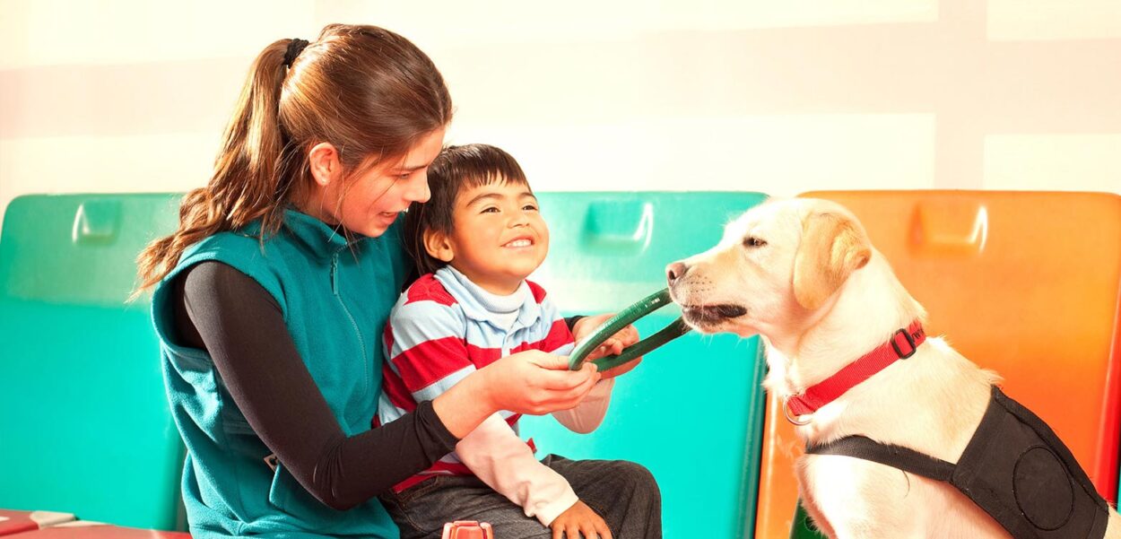 Terapias asistidas con perros
