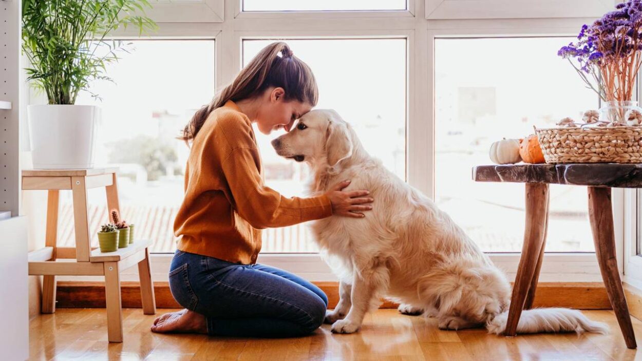 Terapias asistidas con perros