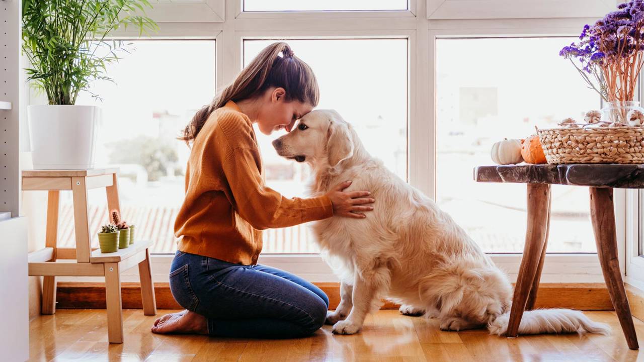 Terapias asistidas con perros